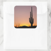 Saguaro Cactus at Sunset Quadratischer Aufkleber (Tasche)