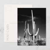 Saguaro Cactus Black and White Foto Arizona Postkarte (Vorne/Hinten)