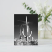 Saguaro Cactus Black and White Foto Arizona Postkarte (Stehend Vorderseite)
