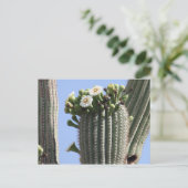 Saguaro Cactus Blooms Postcard Postkarte (Stehend Vorderseite)