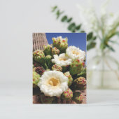 Saguaro Cactus Blossom - Arizona Staat Blume Postkarte (Stehend Vorderseite)