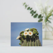 Saguaro Cactus Blossoms Postkarte (Stehend Vorderseite)