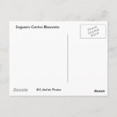 Saguaro Cactus Blossoms Postkarte (Rückseite)