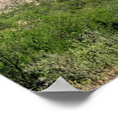 Saguaro Cactus Blue Skies Arizona Foto Poster (Ecke)