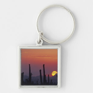 Saguaro Cactus Carnegiea gigantea), Sonnenuntergan Schlüsselanhänger