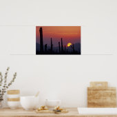 Saguaro Cactus Carnegiea gigantea), Sunset, Poster (Küche)