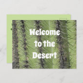 Saguaro Cactus Desert Foto Realty Apprecision Postkarte (Vorne/Hinten)