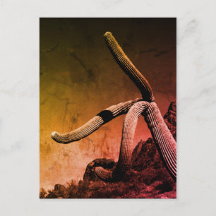 Saguaro Cactus Fine Art Fotografy Postkarte