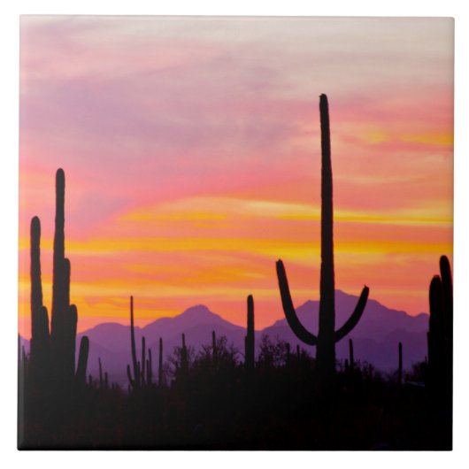 Saguaro Cactus Forest at Sunset Fliese (Vorderseite)