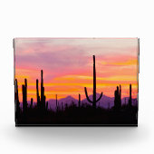 Saguaro Cactus Forest at Sunset Fotoblock (Vorderseite)