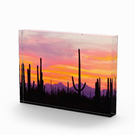 Saguaro Cactus Forest at Sunset Fotoblock (Rechts)