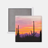 Saguaro Cactus Forest at Sunset Magnet (Vorderseite/Rückseite)