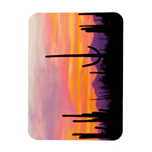 Saguaro Cactus Forest at Sunset Magnet (Vertikal)