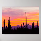 Saguaro Cactus Forest at Sunset Poster (Vorne)