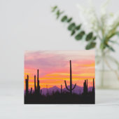 Saguaro Cactus Forest at Sunset Postkarte (Stehend Vorderseite)
