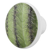 Saguaro Cactus Foto Bright Green Pflanze Südwest Keramikknauf (Rechts)