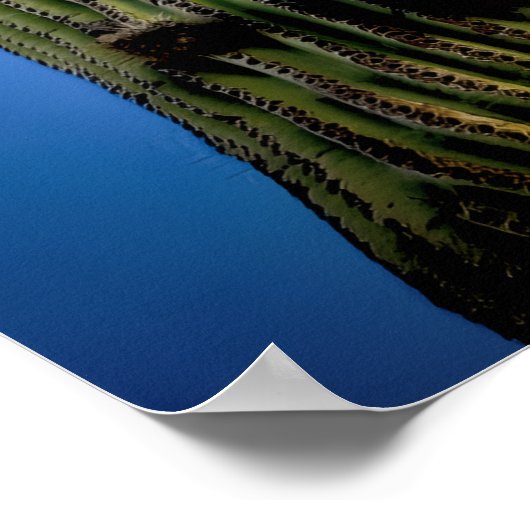 Saguaro Cactus High Postcard Poster (Ecke)