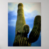 Saguaro Cactus High Postcard Poster (Vorne)