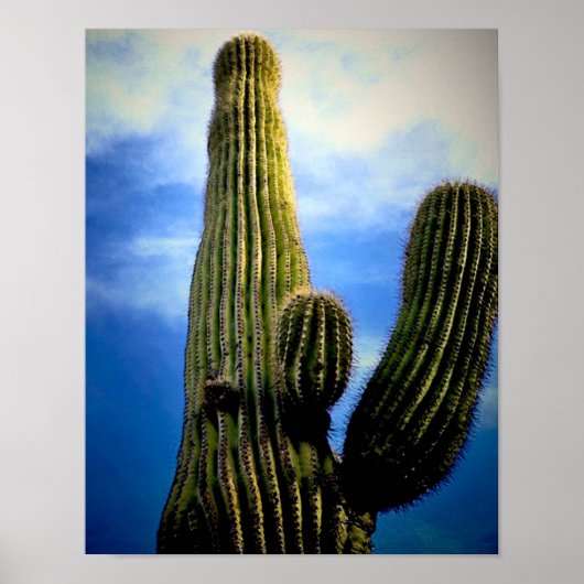 Saguaro Cactus High Postcard Poster (Vorne)
