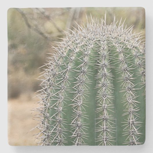 Saguaro Cactus in Arizona, Untersetzer (Vorderseite)