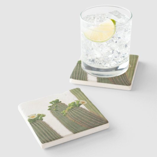 Saguaro Cactus in Arizona, Untersetzer (Seitenansicht)