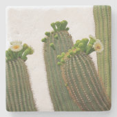 Saguaro Cactus in Arizona, Untersetzer (Vorderseite)