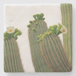 Saguaro Cactus in Arizona, Untersetzer
