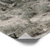 Saguaro Cactus in der Wüste Arizona Low Sat 16x20 Poster (Ecke)