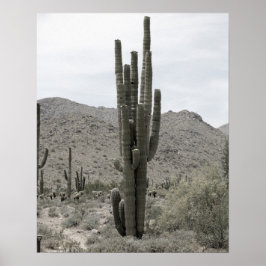 Saguaro Cactus in der Wüste Arizona Low Sat 16x20 Poster