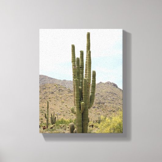 Saguaro Cactus in der Wüstenfarbe Arizona 8x10 Leinwanddruck (Vorderseite)