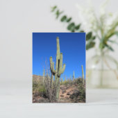 Saguaro Cactus no 1 Postkarte (Stehend Vorderseite)