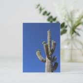 Saguaro Cactus no 4 Postkarte (Stehend Vorderseite)