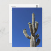 Saguaro Cactus no 4 Postkarte (Vorne/Hinten)