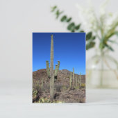 Saguaro Cactus no 9 Postkarte (Stehend Vorderseite)