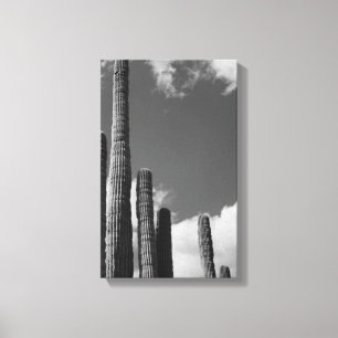 Saguaro Cactus Pipes Desert B&W Foto Art Print Leinwanddruck