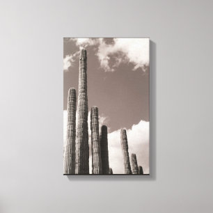 Saguaro Cactus Pipes Desert B&W Foto Art Print Leinwanddruck