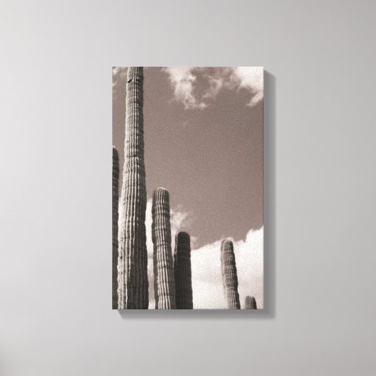 Saguaro Cactus Pipes Desert B&W Foto Kunstdrucke Leinwanddruck (Vorderseite)