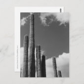 Saguaro Cactus Pipes Desert B&W Foto Postkarte (Vorne/Hinten)