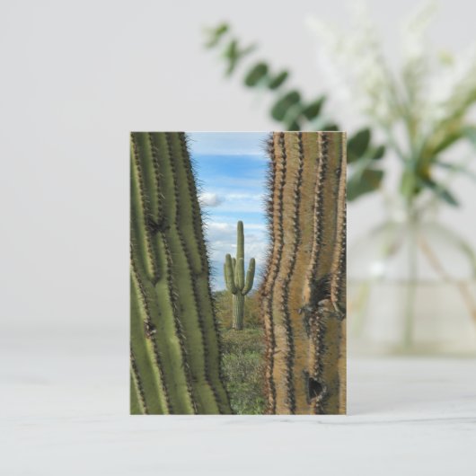 Saguaro Cactus Postcard Postkarte (Stehend Vorderseite)