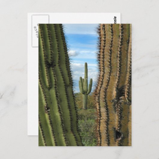 Saguaro Cactus Postcard Postkarte (Vorne/Hinten)
