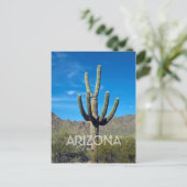 Saguaro Cactus Postcard Postkarte (Stehend Vorderseite)