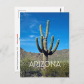 Saguaro Cactus Postcard Postkarte (Vorne/Hinten)
