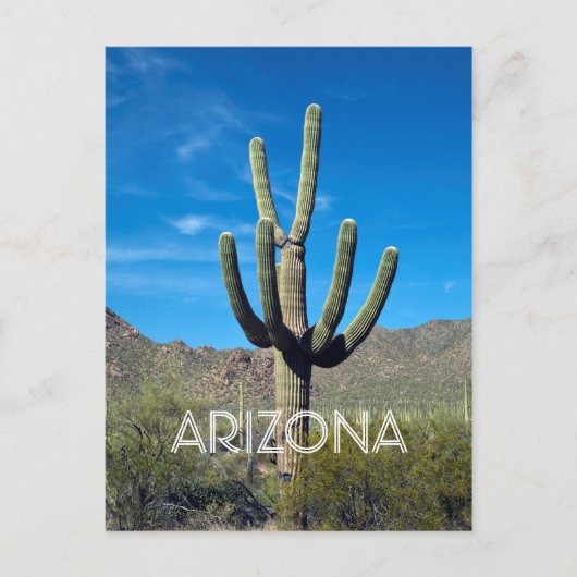 Saguaro Cactus Postcard Postkarte (Vorderseite)