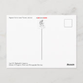 Saguaro Cactus Postcard Postkarte (Rückseite)