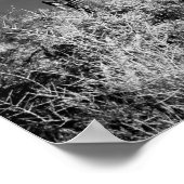 Saguaro Cactus Poster (Ecke)