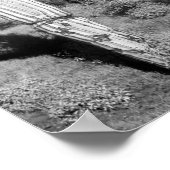 Saguaro Cactus Poster (Ecke)