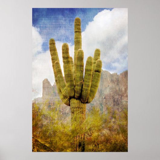 Saguaro Cactus Poster (Vorne)