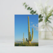 Saguaro Cactus Postkarte (Stehend Vorderseite)