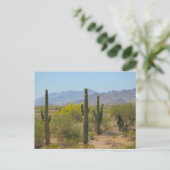 Saguaro Cactus Postkarte (Stehend Vorderseite)