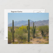 Saguaro Cactus Postkarte (Vorne/Hinten)